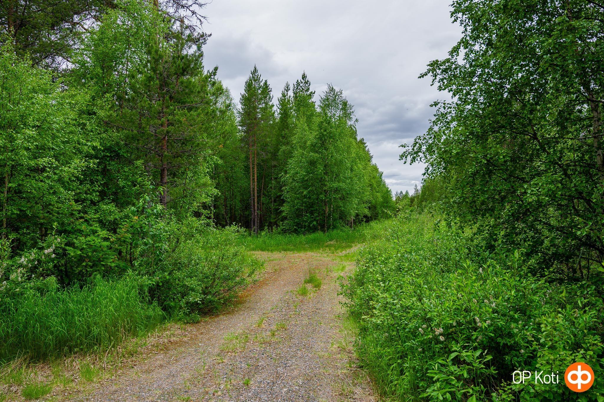 Kohdekuva 6