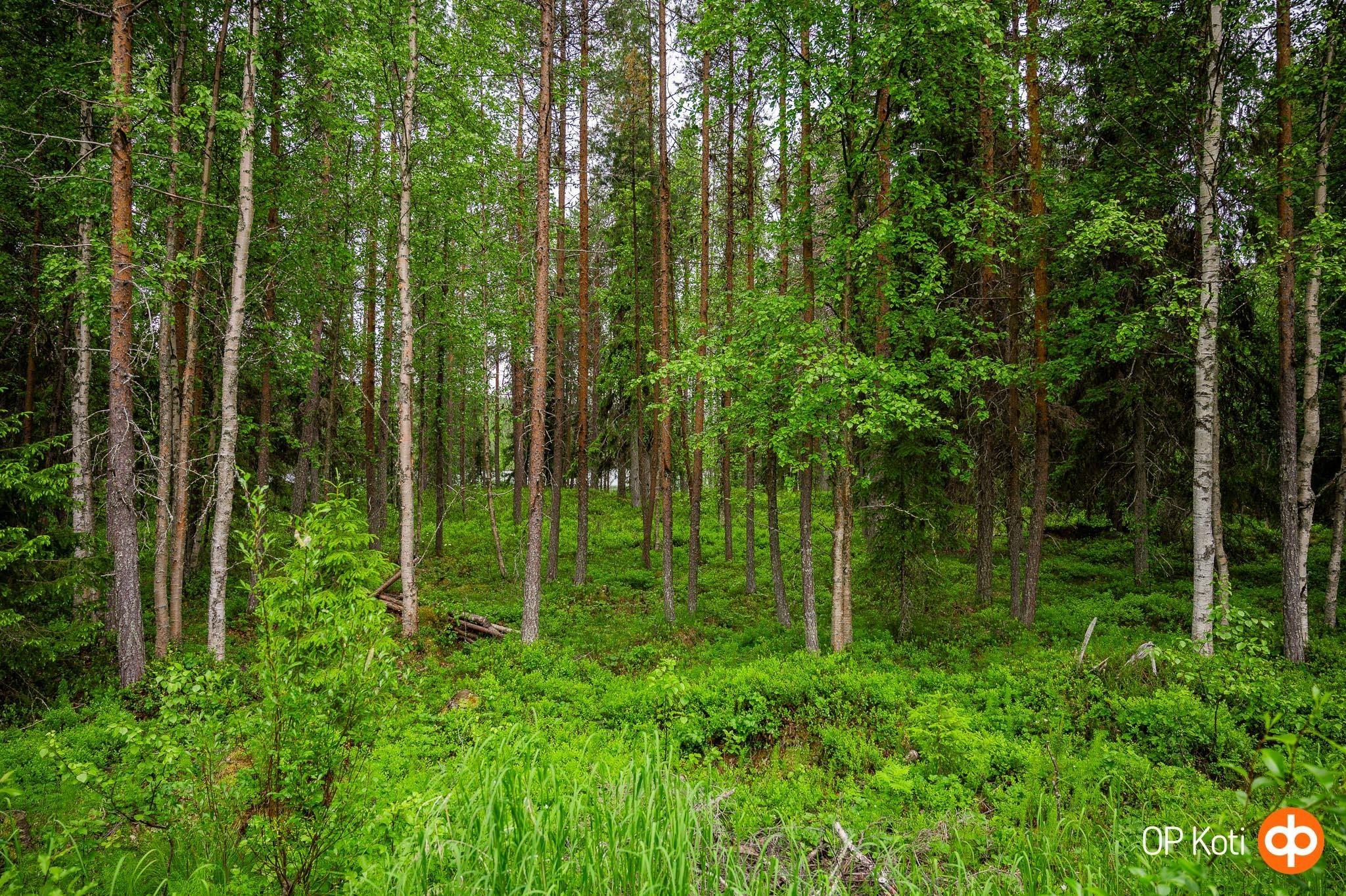 Kohdekuva 3