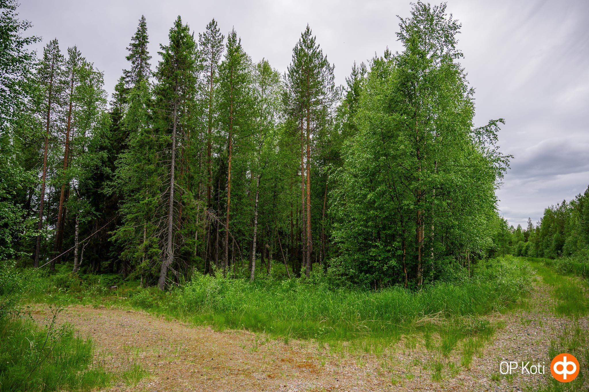 Kohdekuva 4