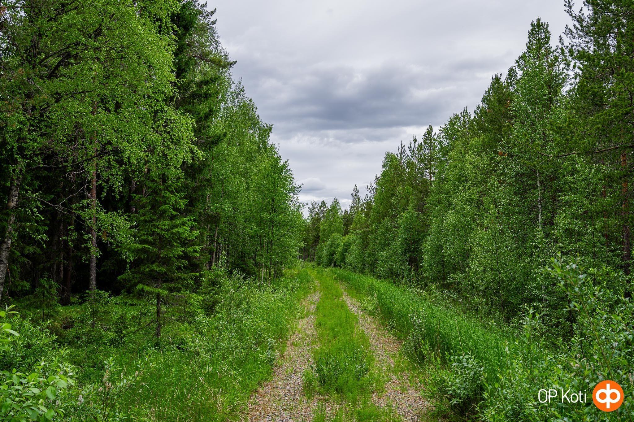 Kohdekuva 5