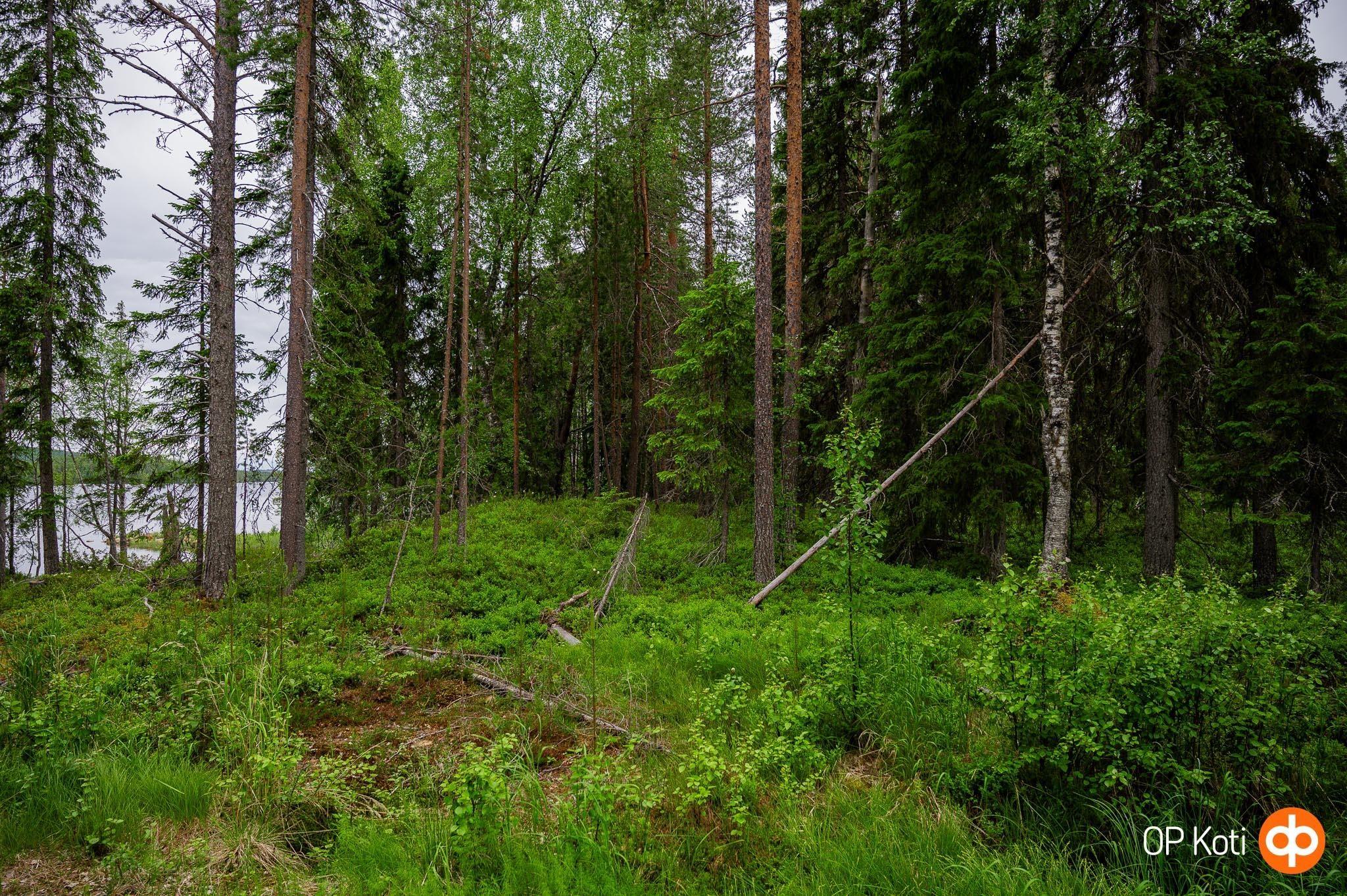 Kohdekuva 2