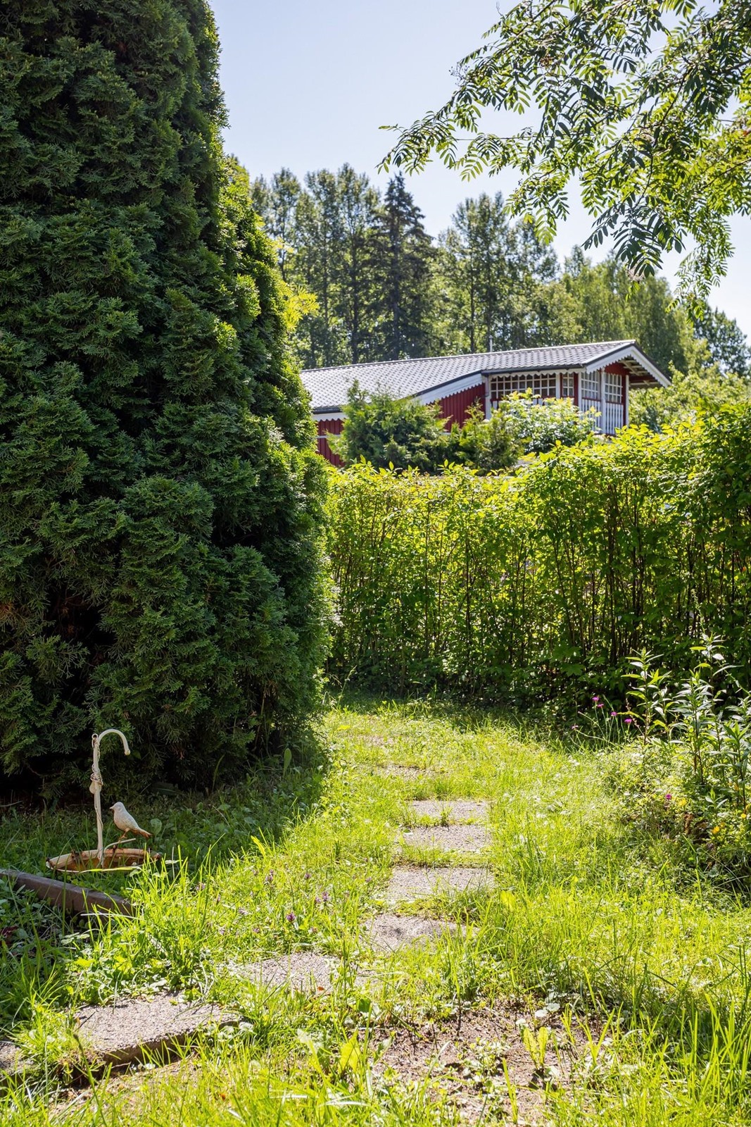 Kohdekuva 7