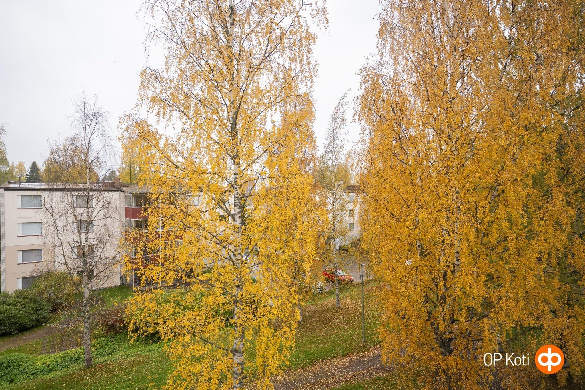 Kohdekuva 6