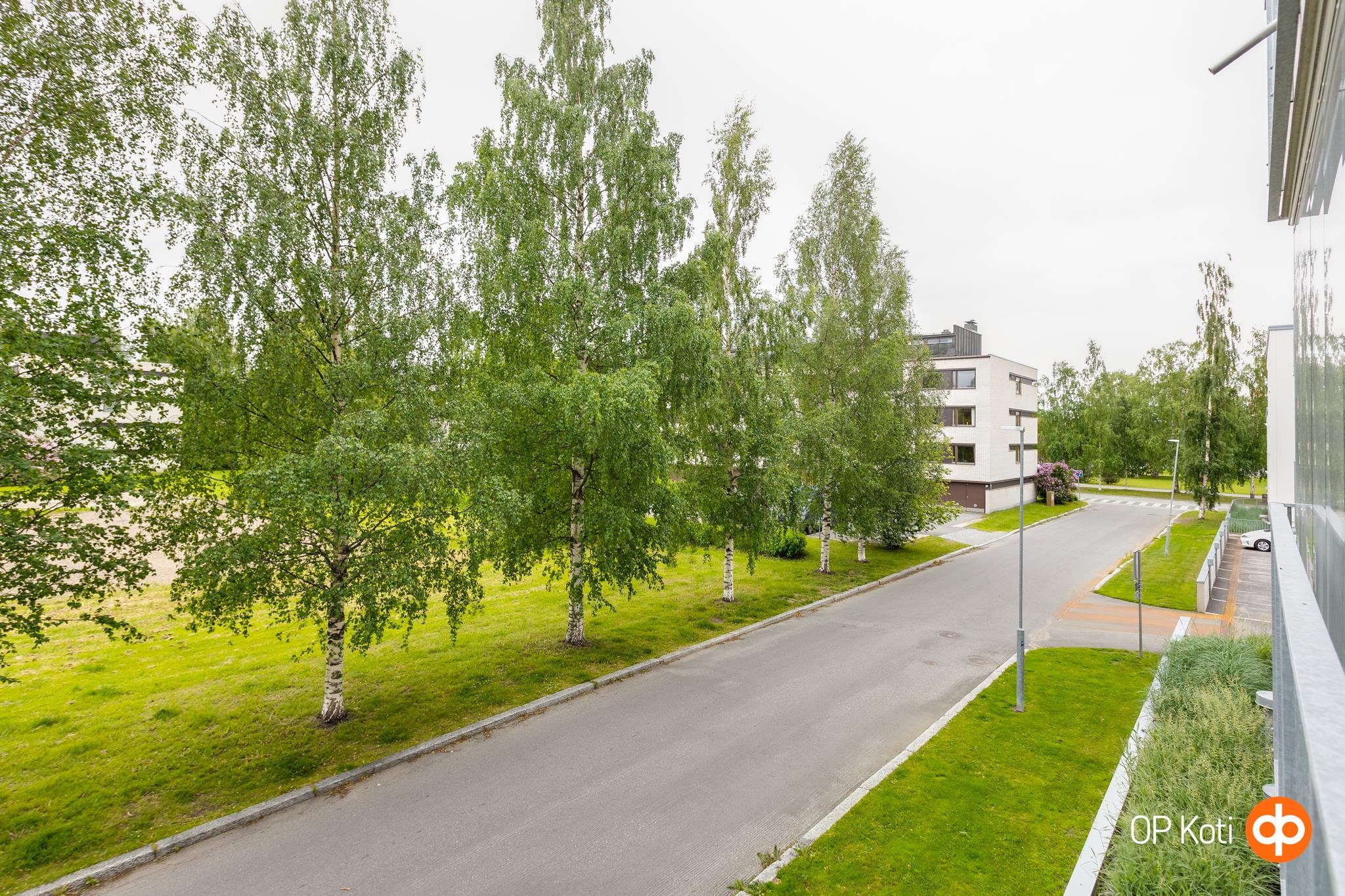 Kohdekuva 19
