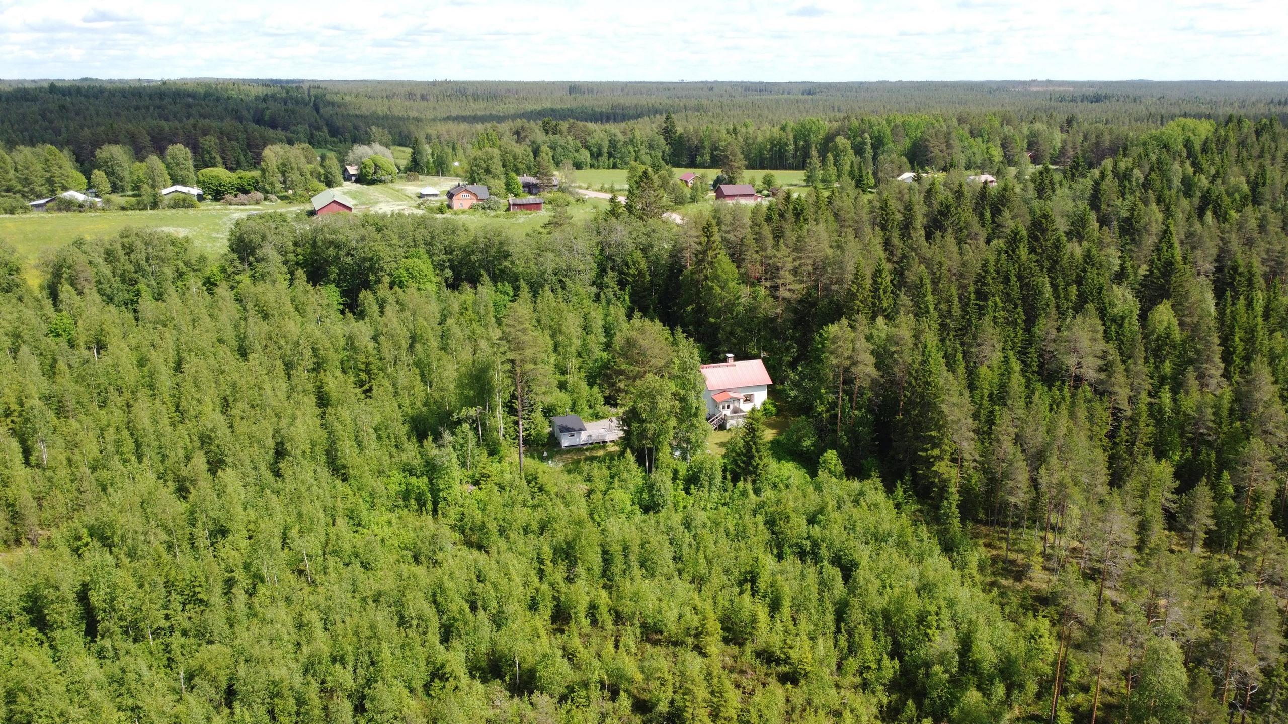 Kohdekuva 1