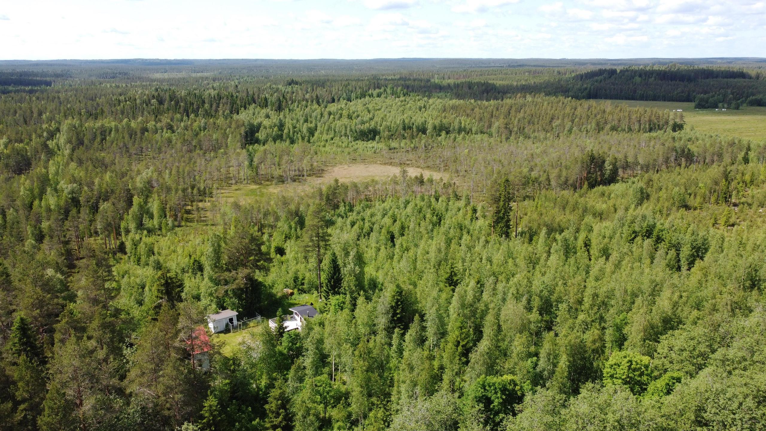 Kohdekuva 17
