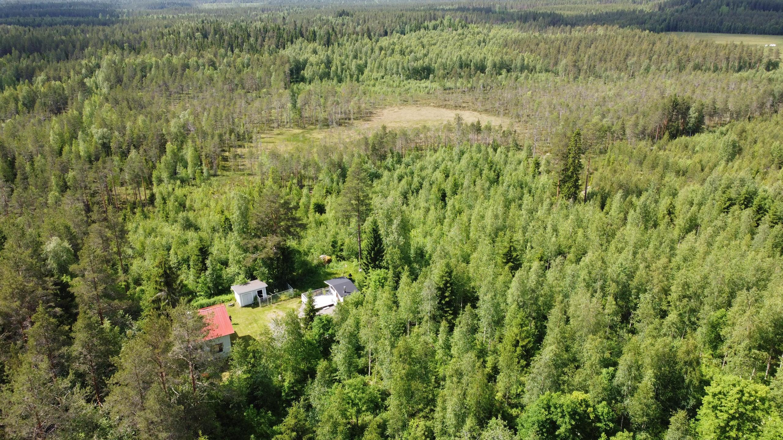 Kohdekuva 16