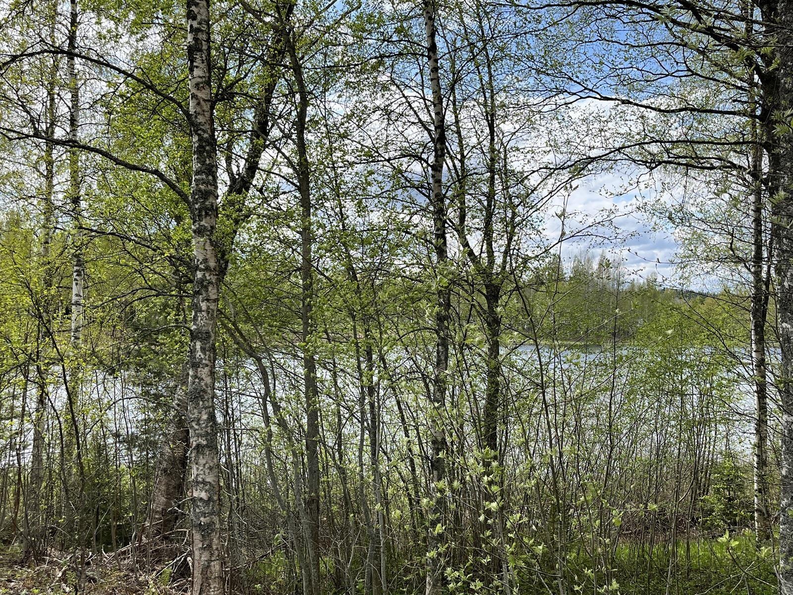 Kohdekuva 5