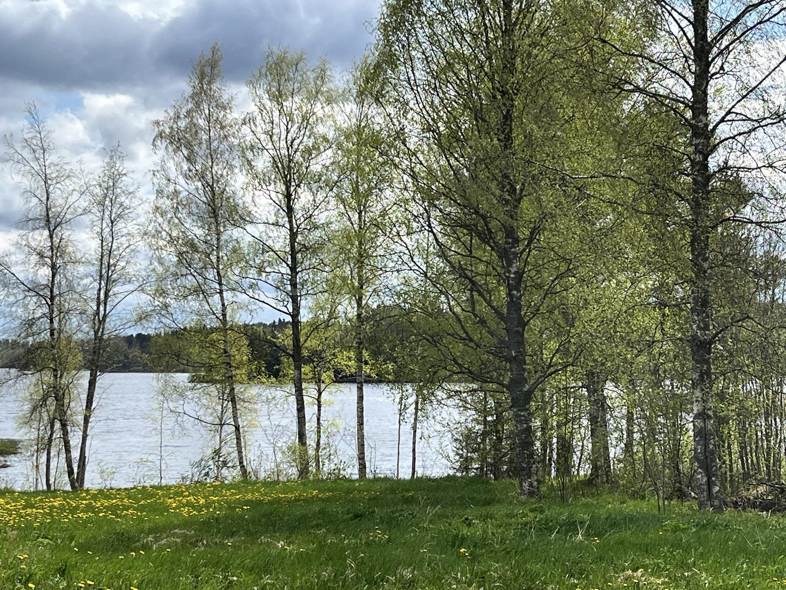 Kohdekuva 1