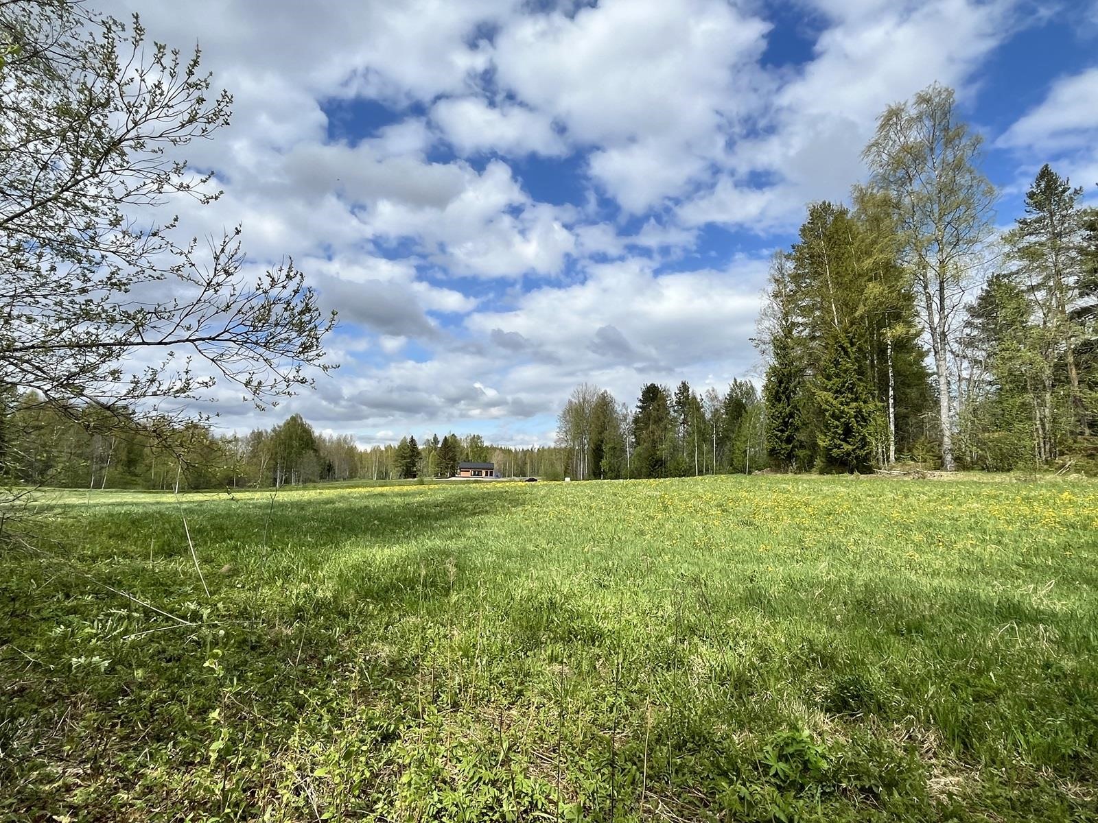 Kohdekuva 8