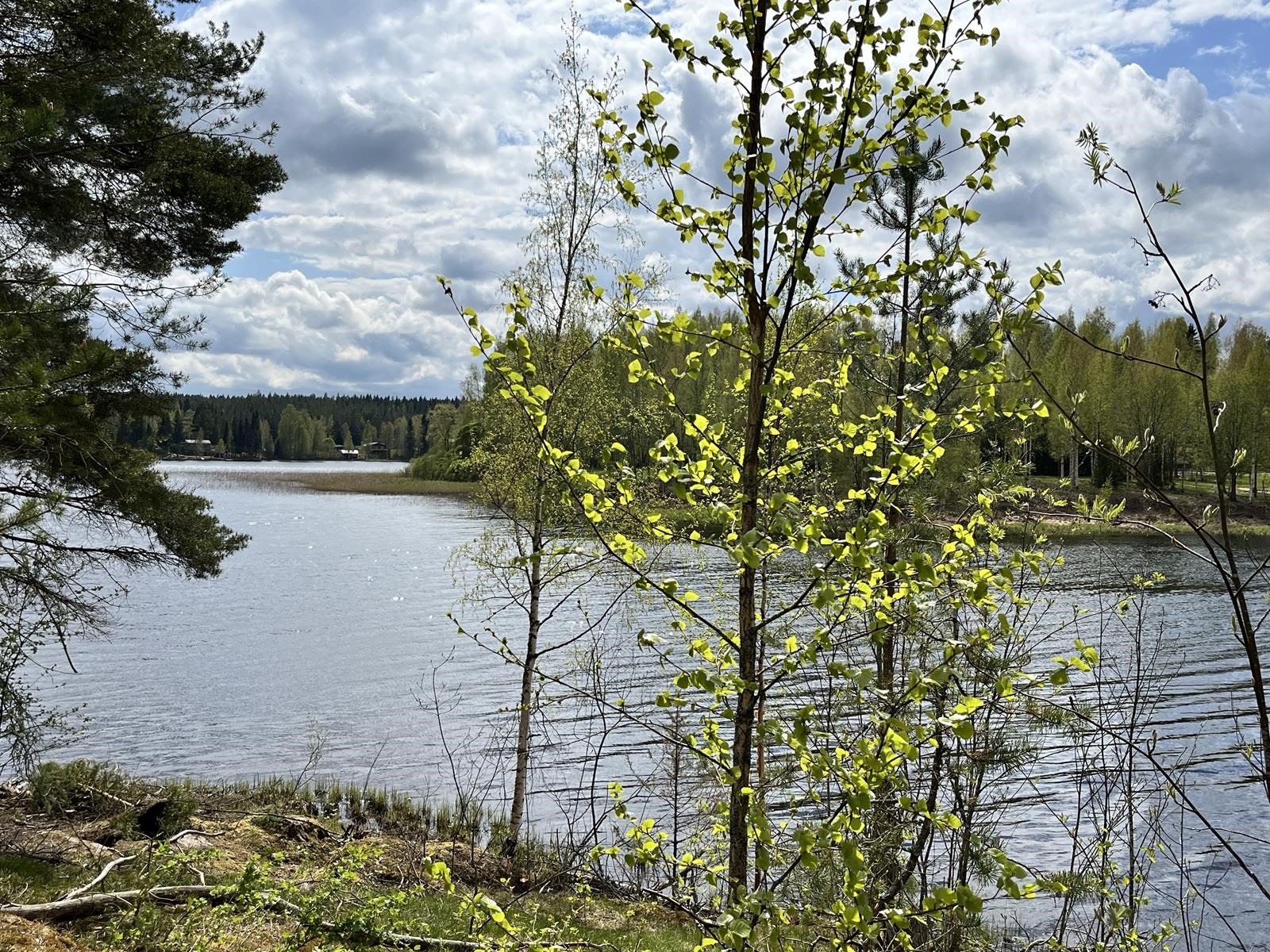 Kohdekuva 2