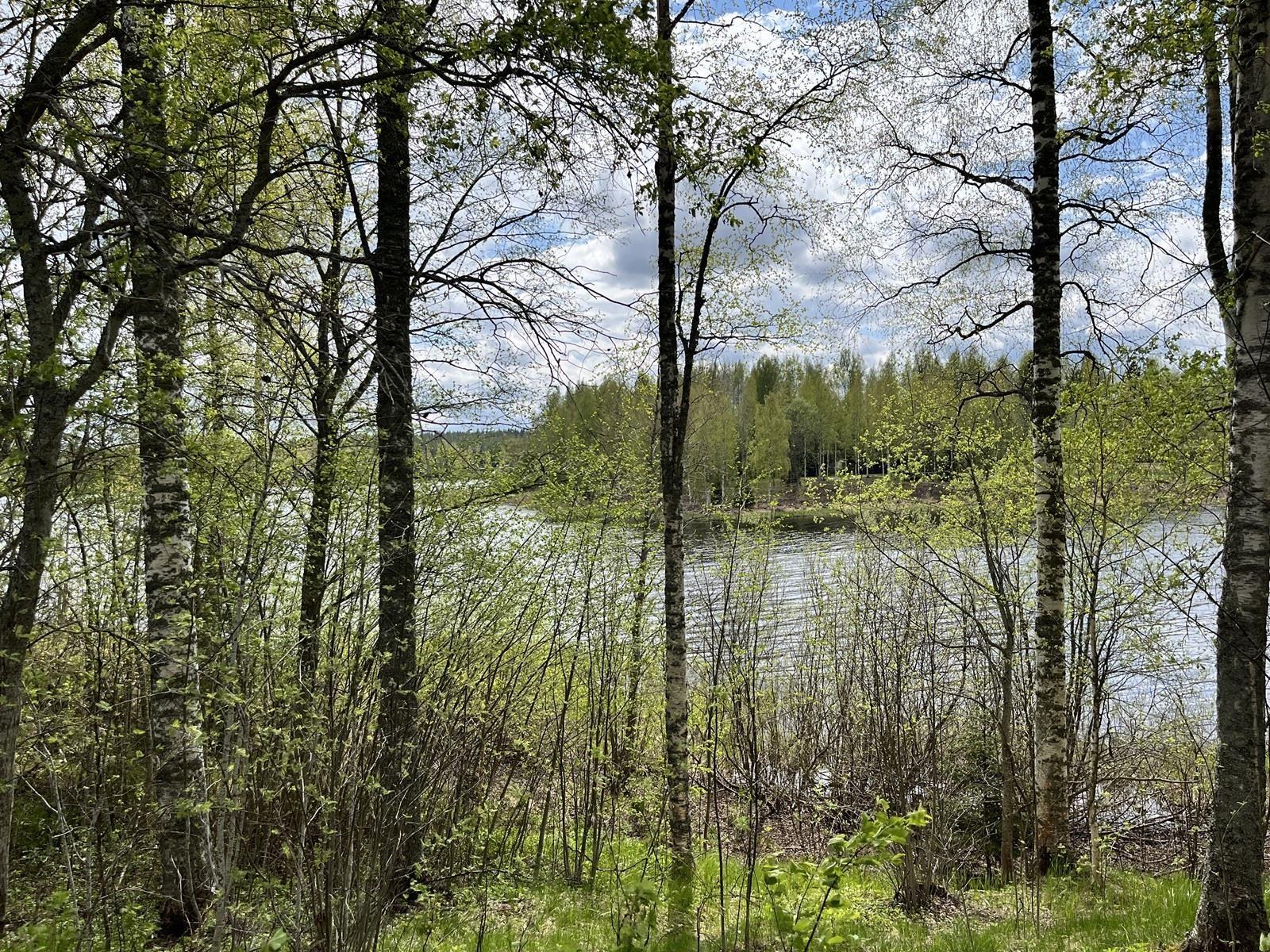 Kohdekuva 4