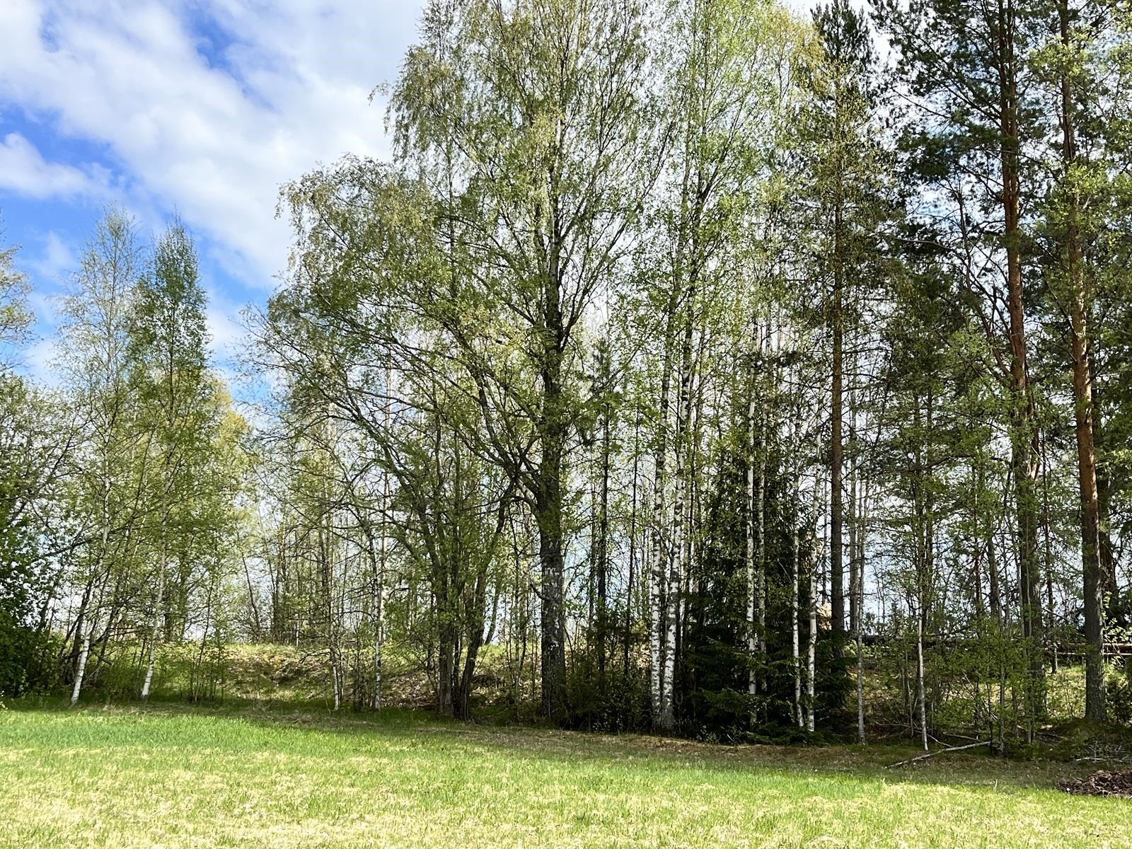 Kohdekuva 6