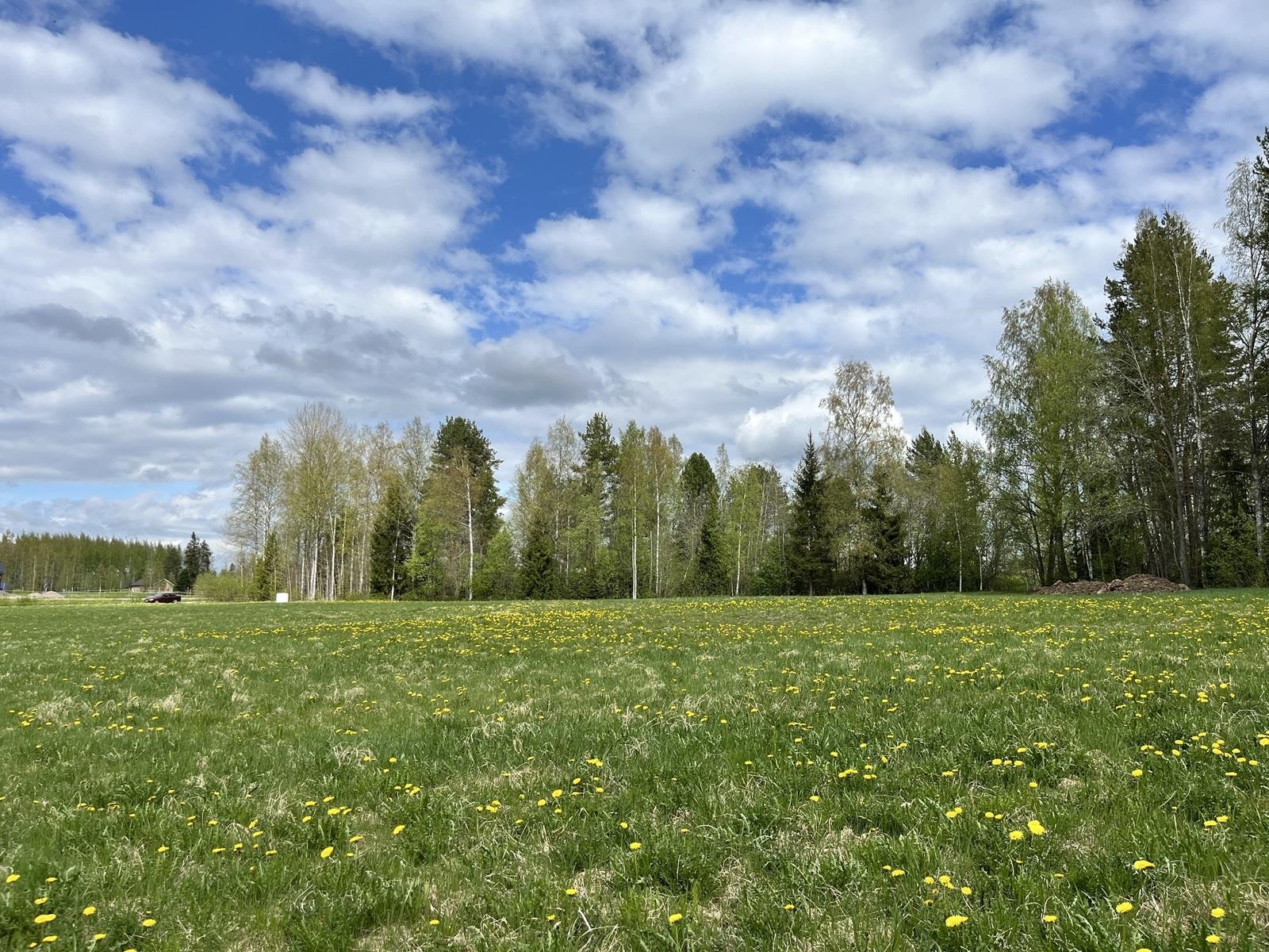 Kohdekuva 7