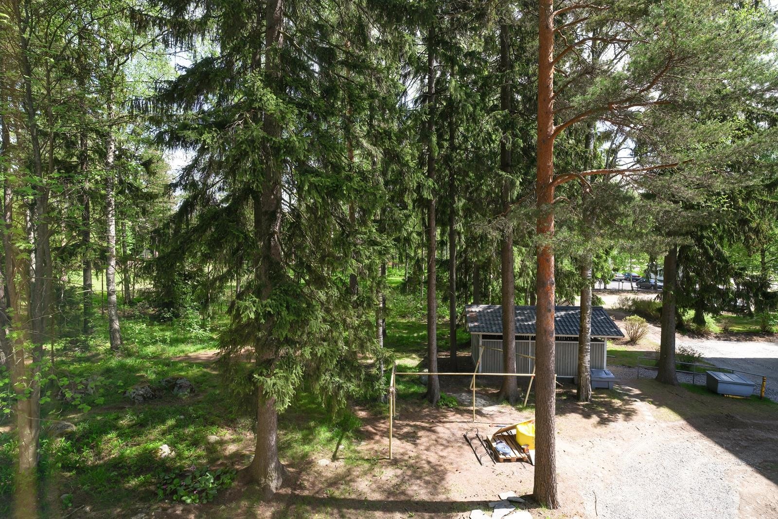 Kohdekuva 19