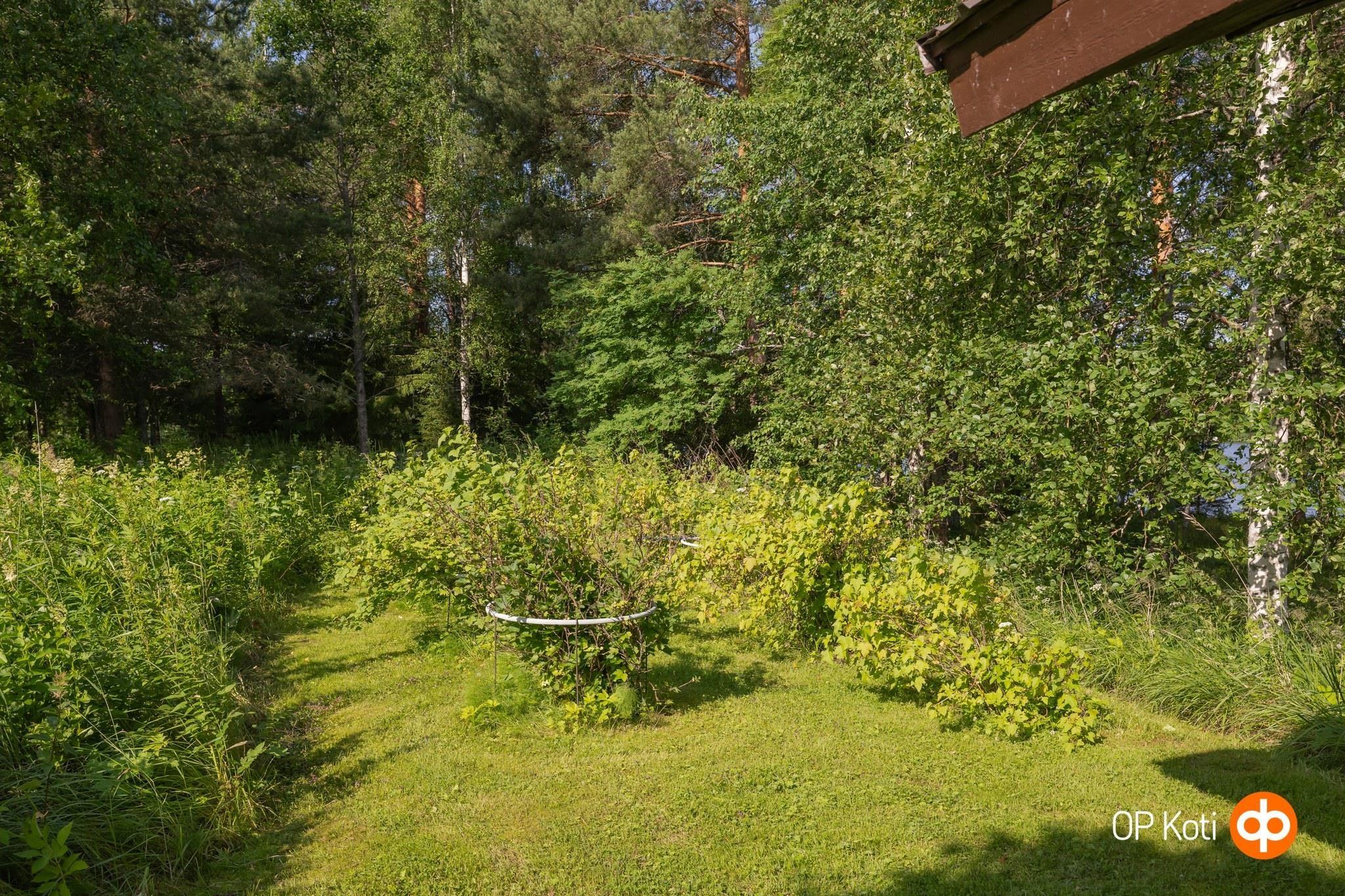 Kohdekuva 43