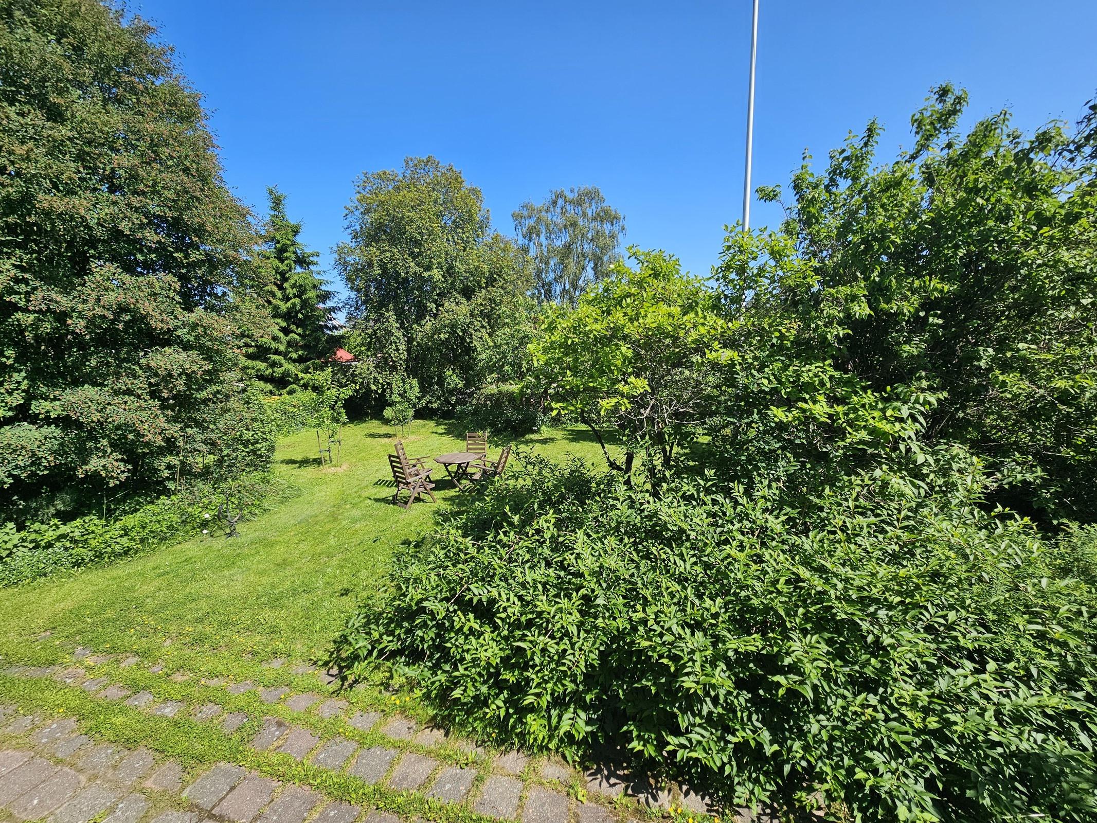 vehreää puutarhapihaa