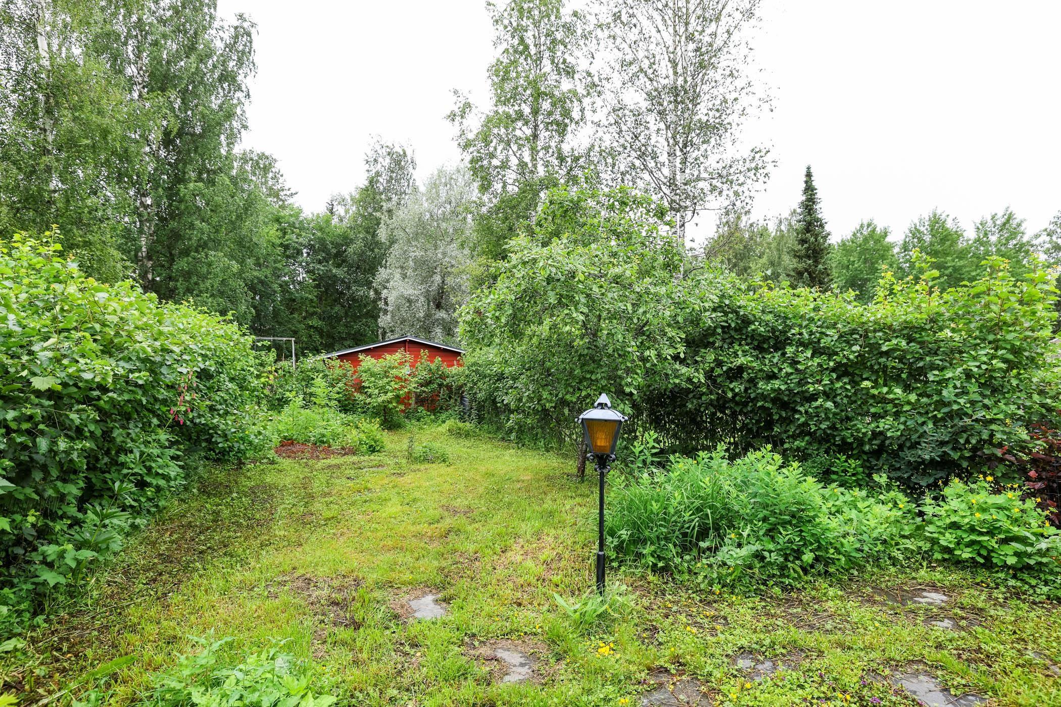 Kohdekuva 19