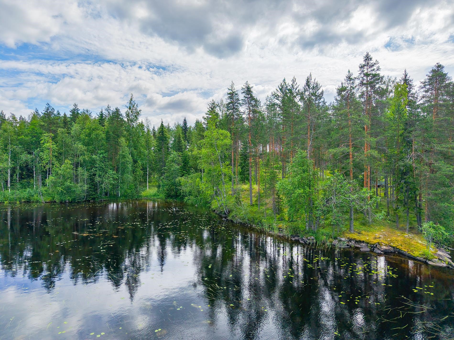 Kohdekuva 8