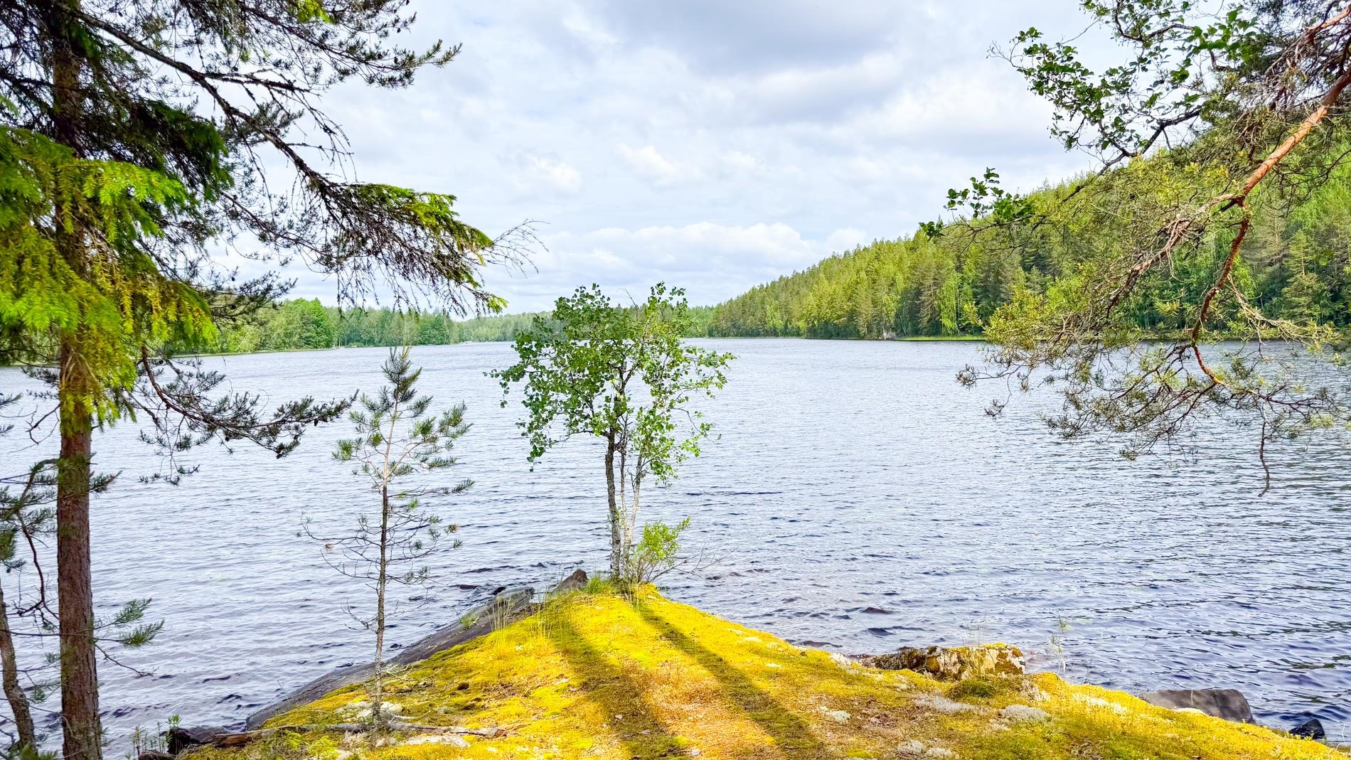Kohdekuva 5