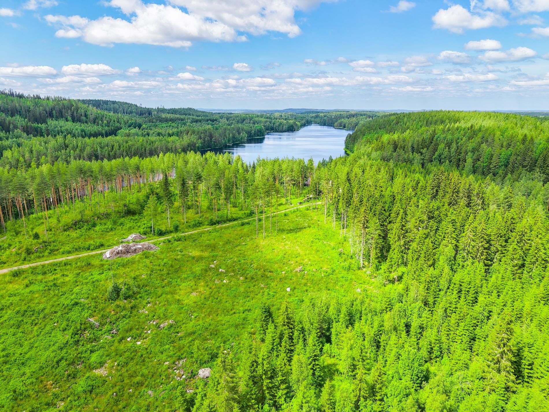 Kohdekuva 11