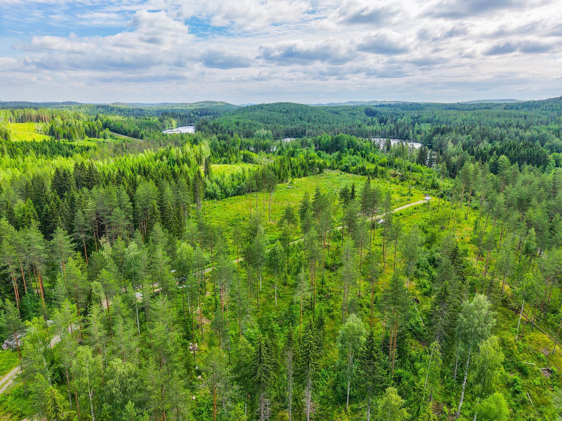 Kohdekuva 10