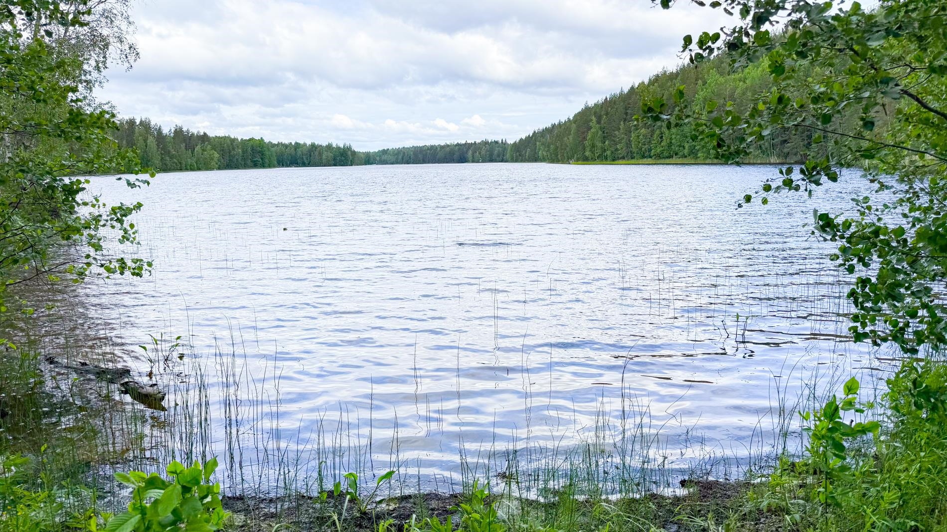 Kohdekuva 4