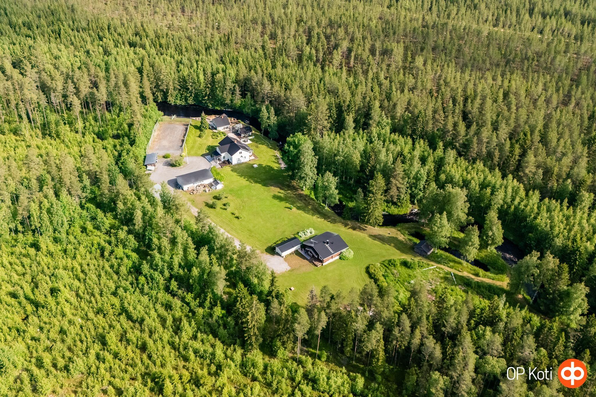 Kohdekuva 61