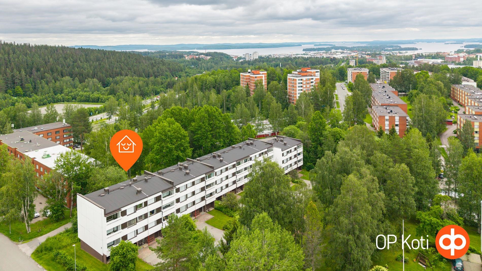 Kohdekuva 19
