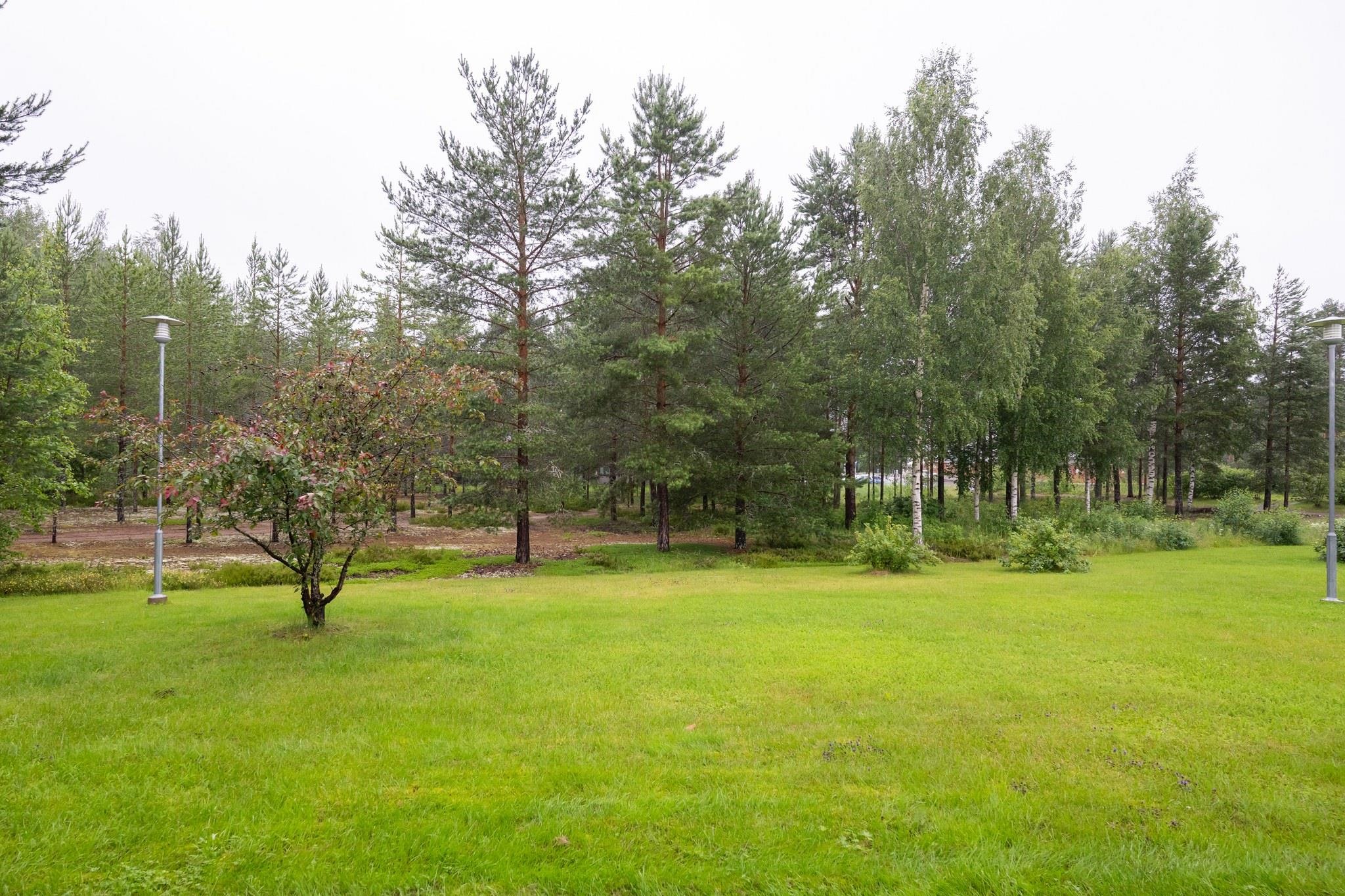 Kohdekuva 18