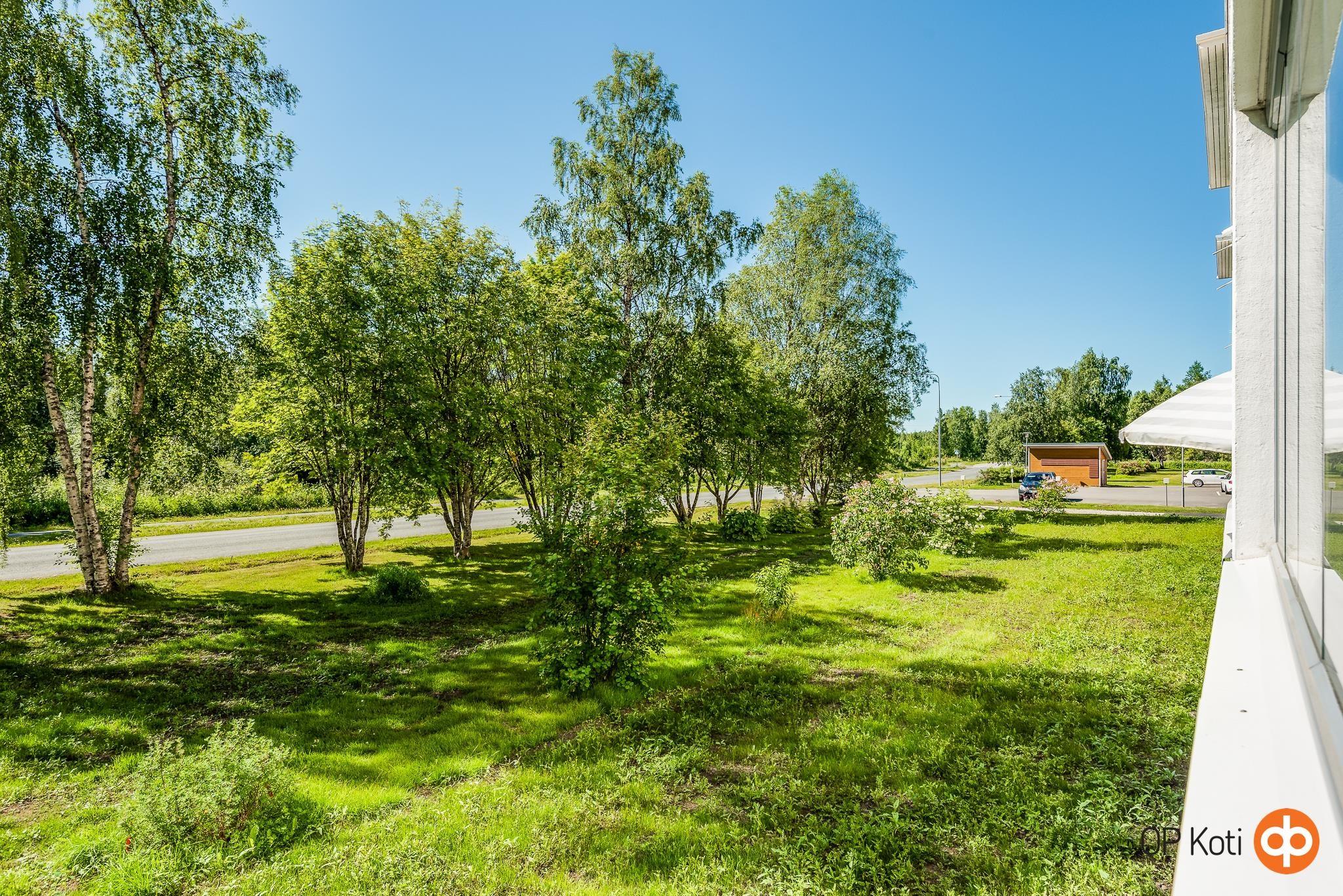 Kohdekuva 16