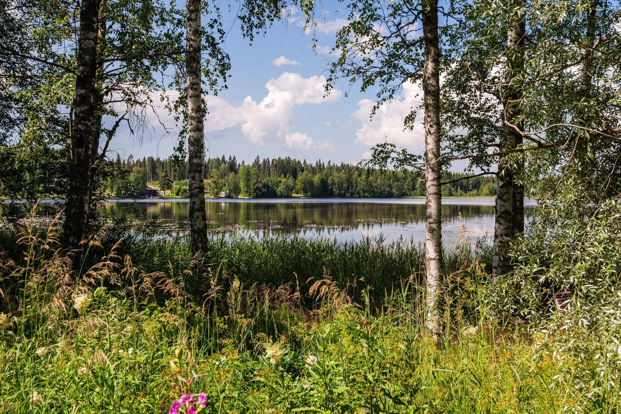 Kohdekuva 46