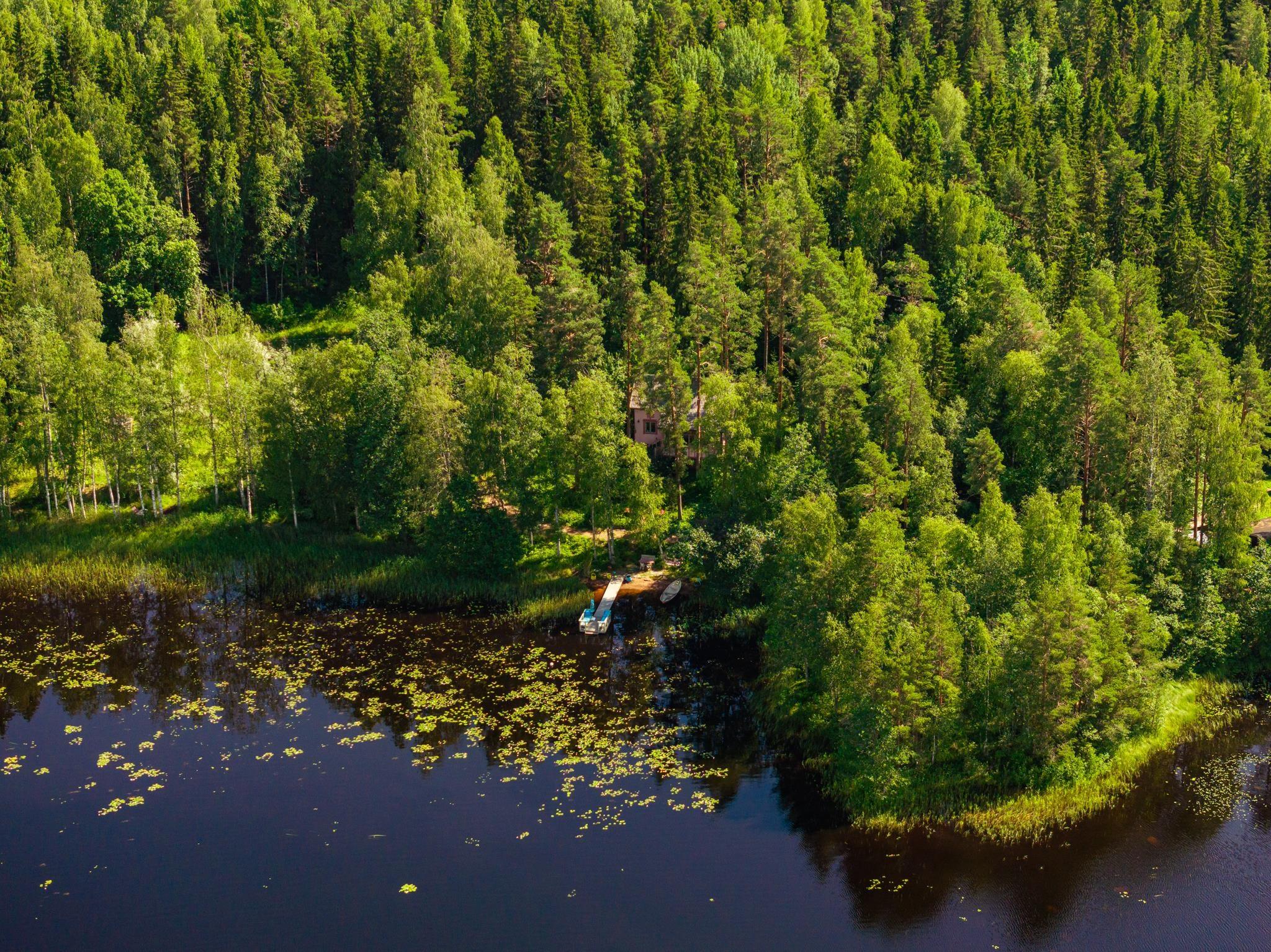 Kohdekuva 40