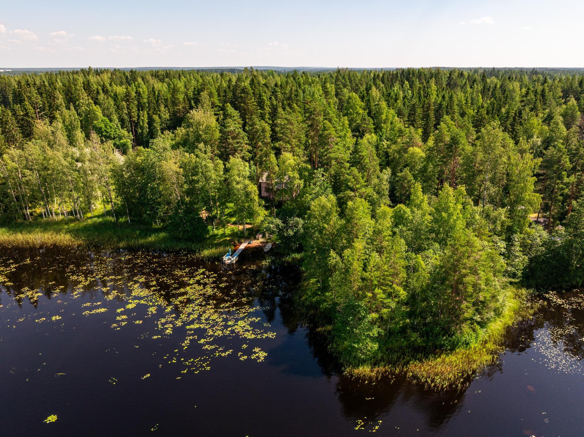 Kohdekuva 41