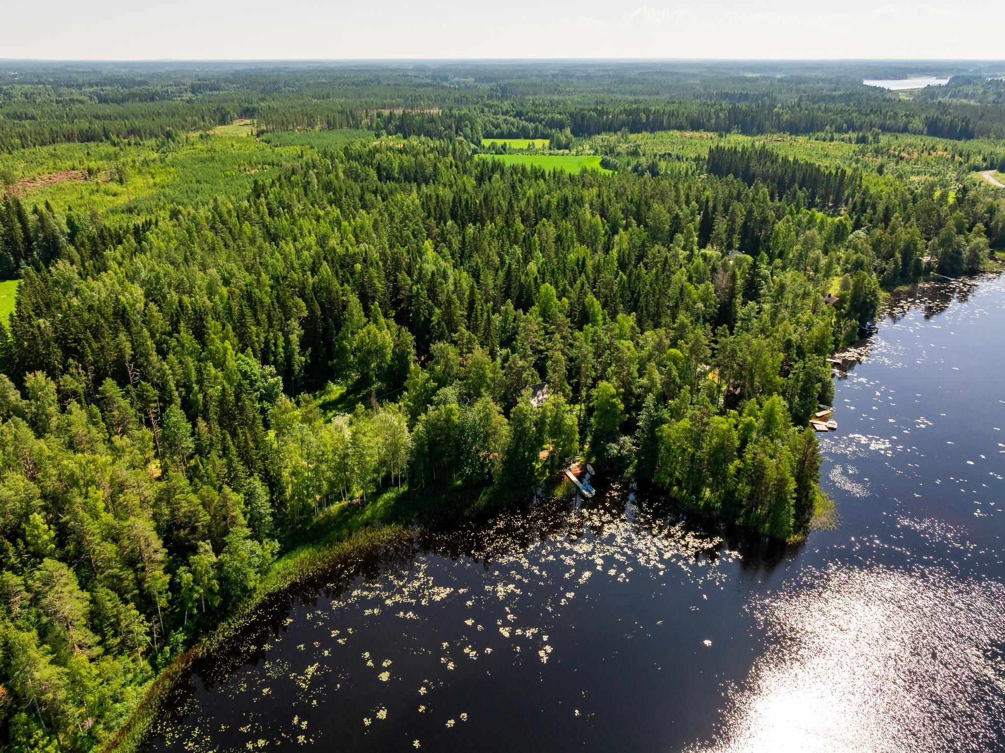 Kohdekuva 38