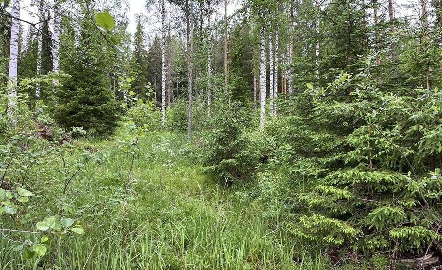 Kohdekuva 10