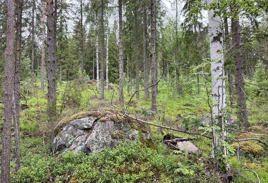 Kohdekuva 9