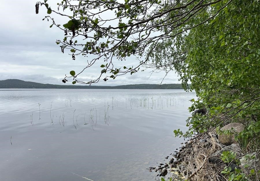 Kohdekuva 6