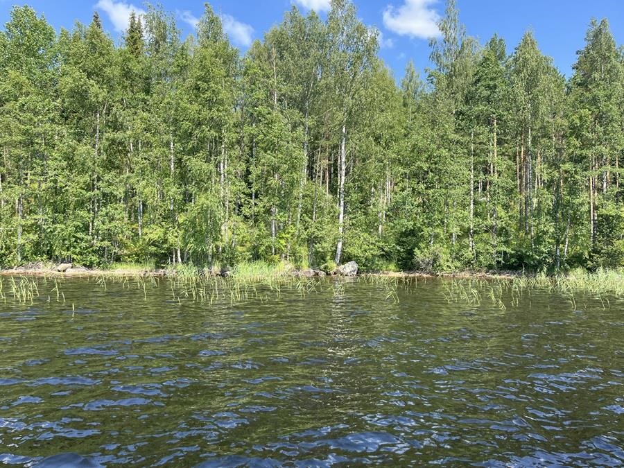 Kohdekuva 12