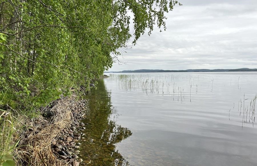 Kohdekuva 5