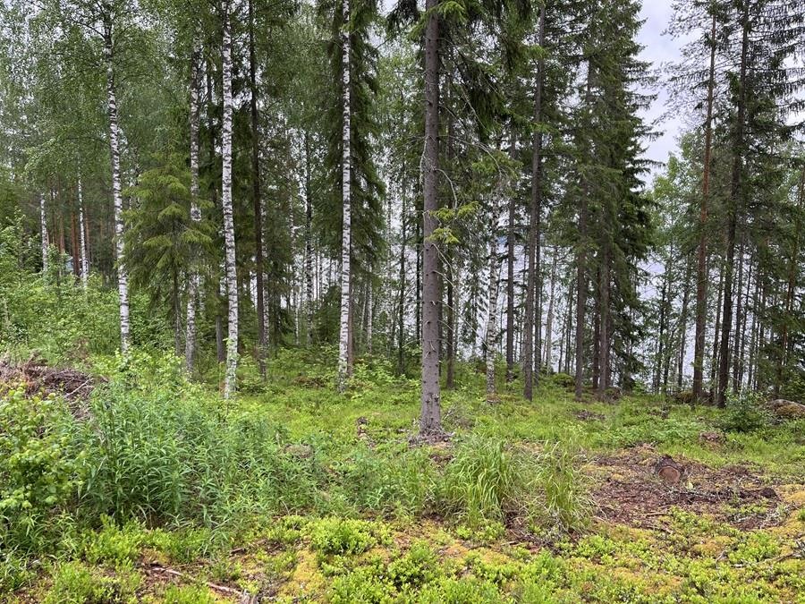 Kohdekuva 7