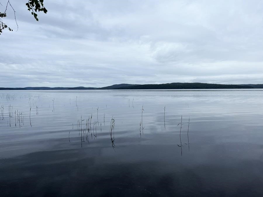 Kohdekuva 16