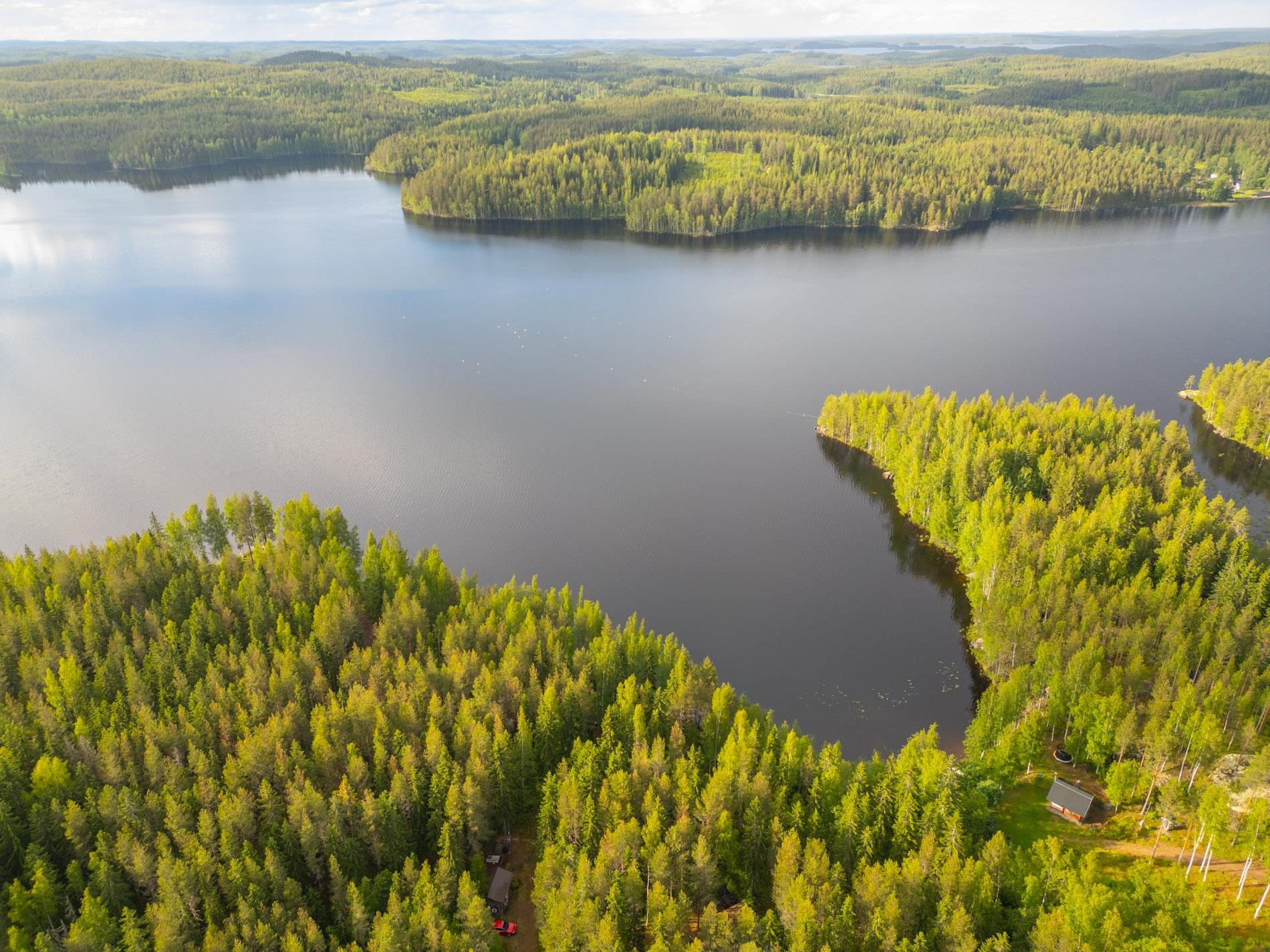 Kohdekuva 48