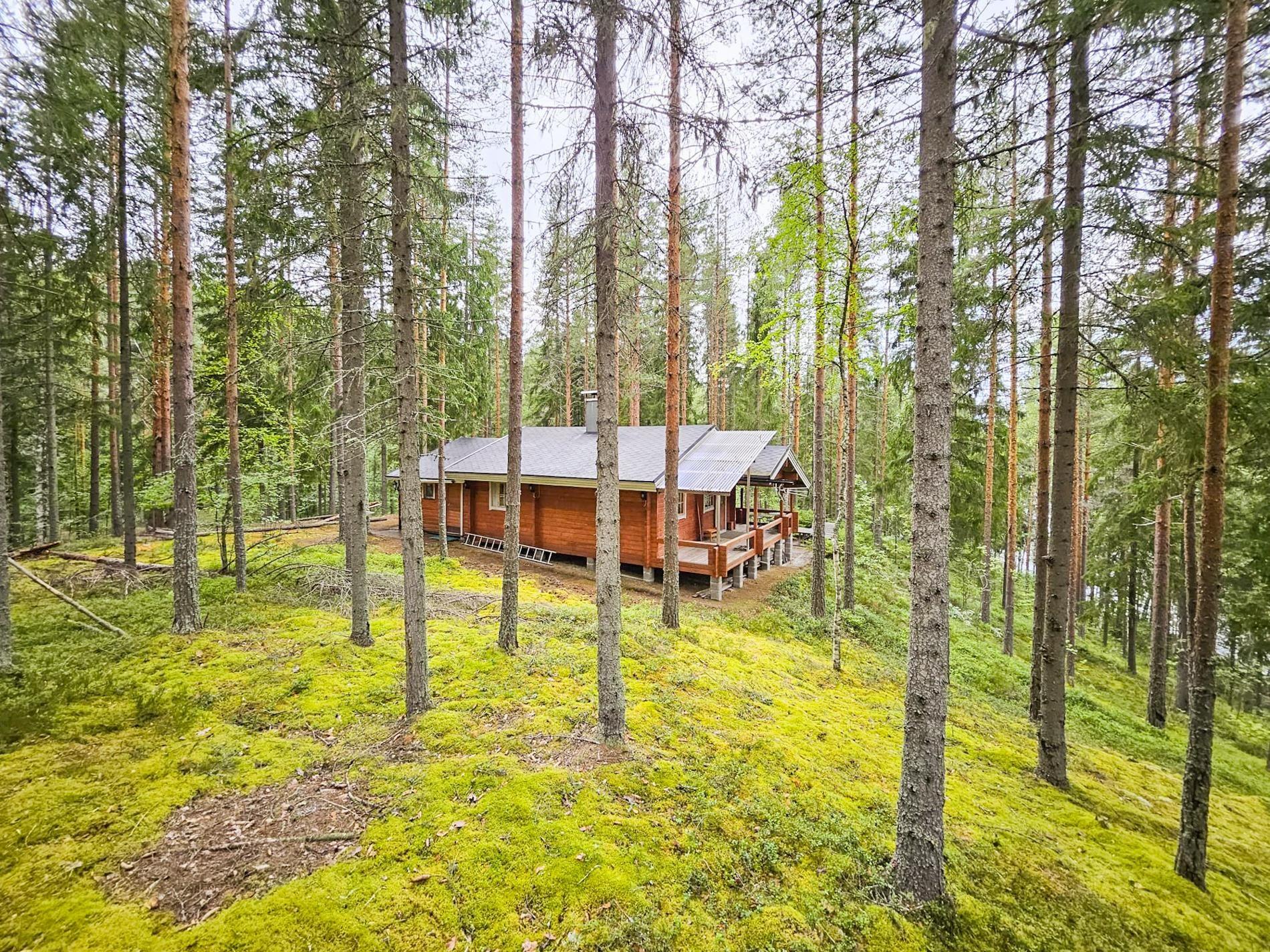 Kohdekuva 3