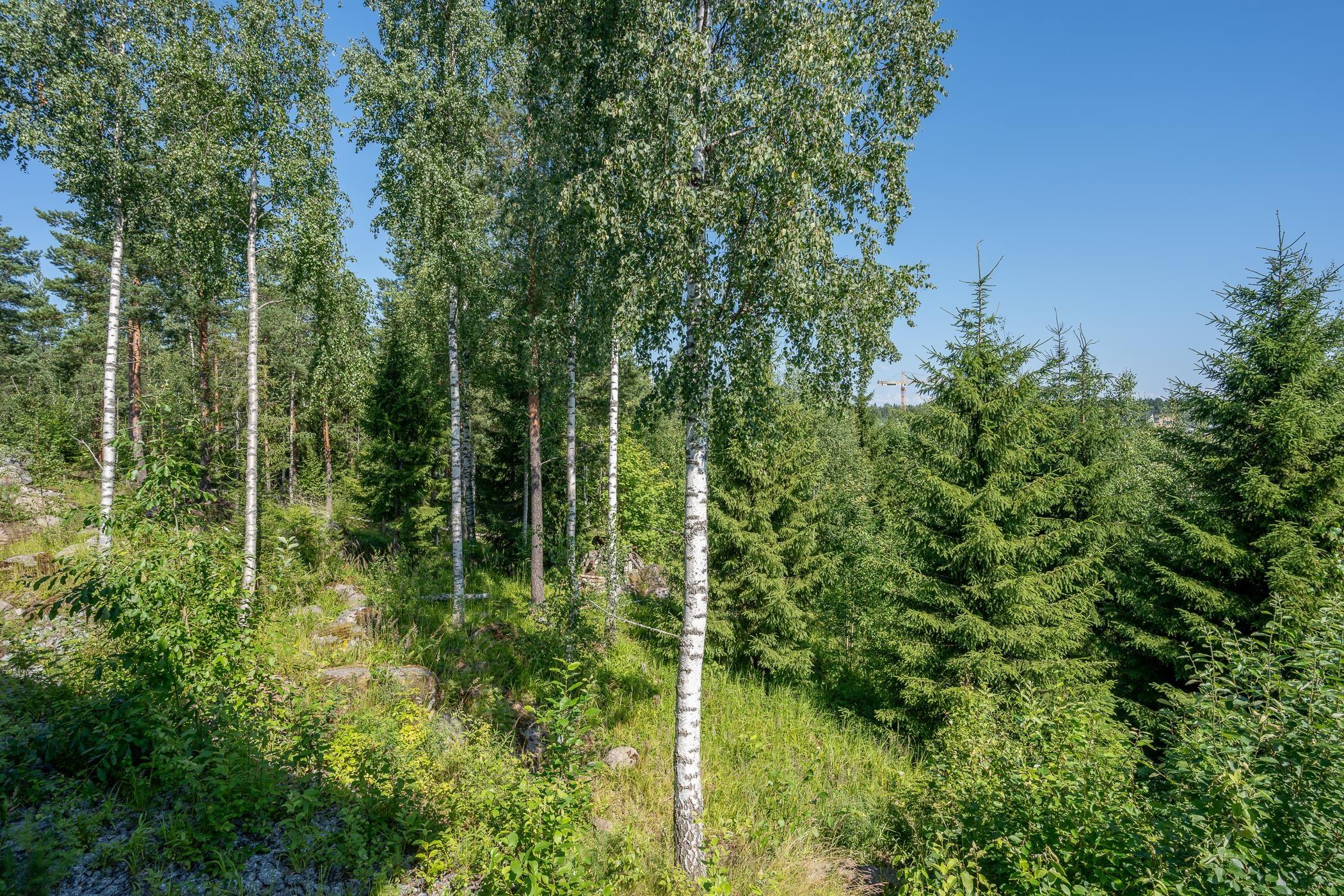 Kohdekuva 30
