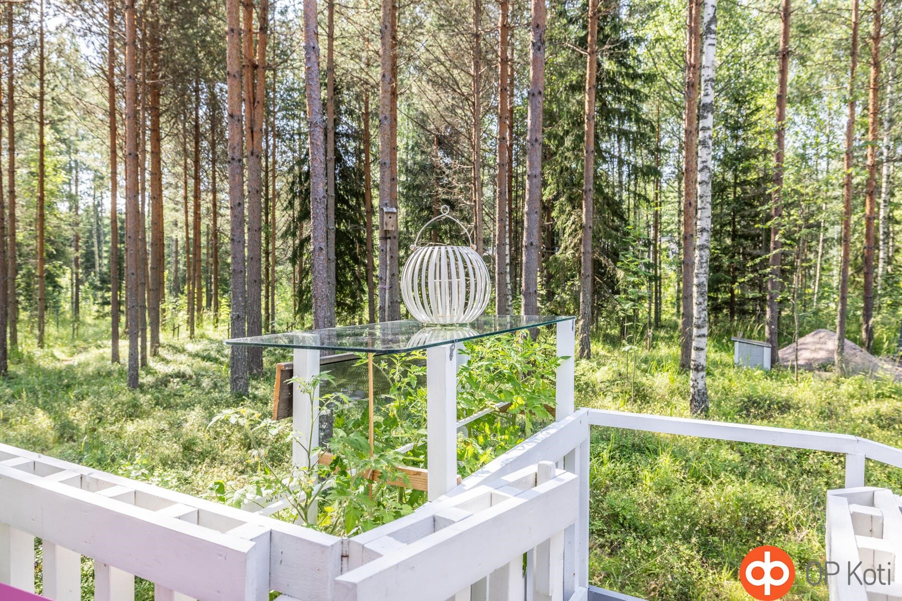 Kohdekuva 19