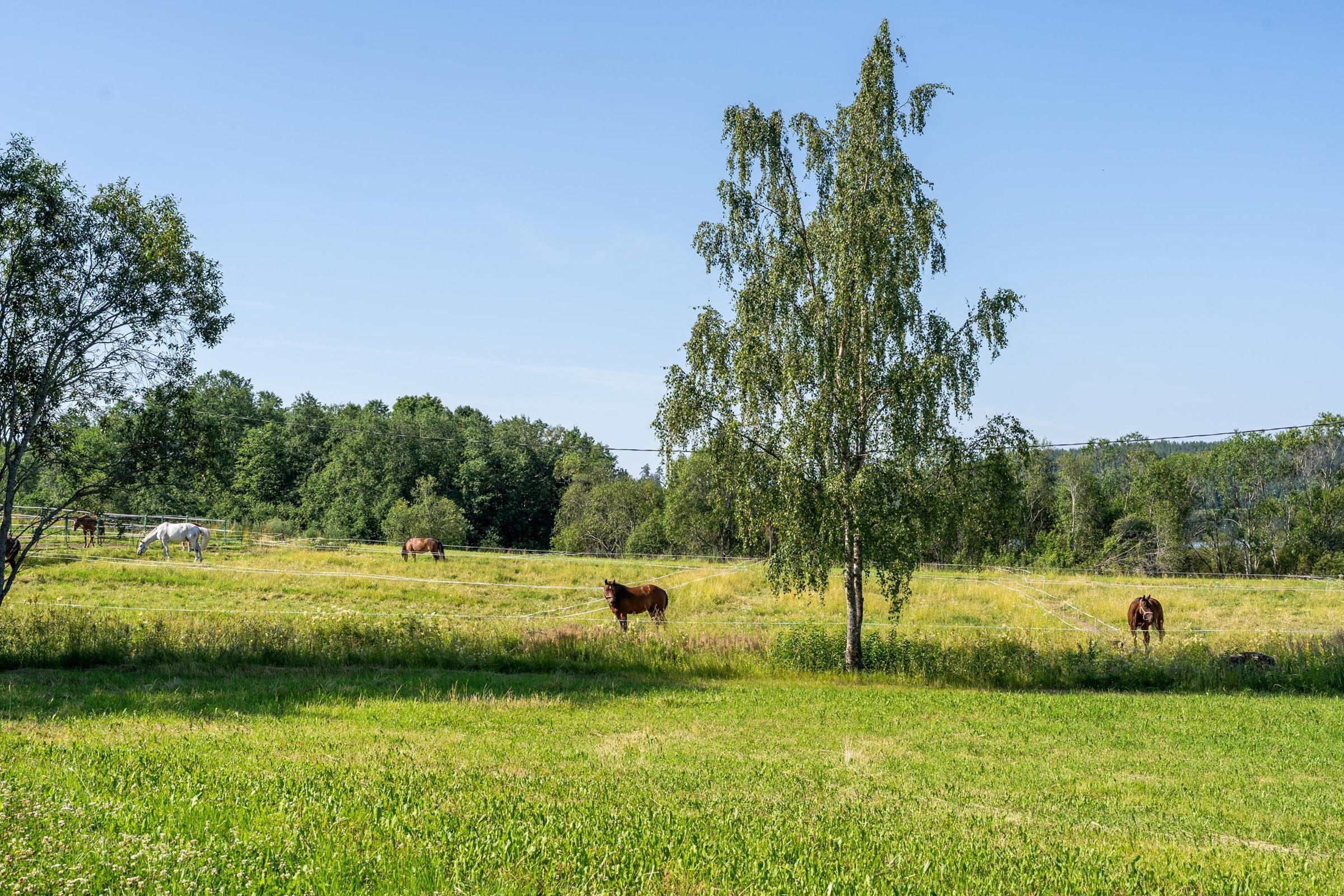 Kohdekuva 86