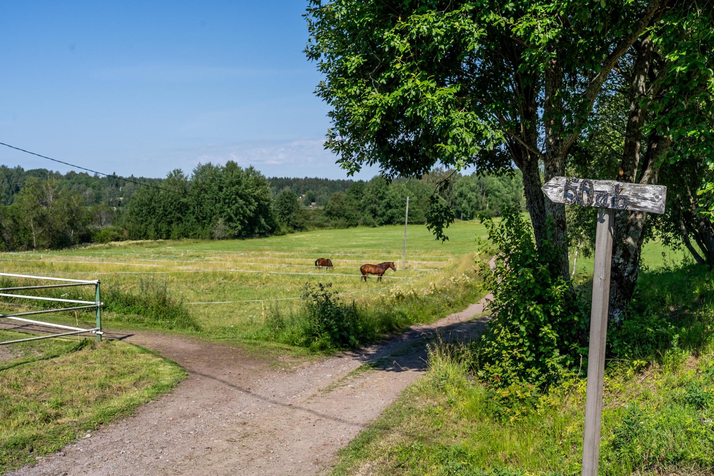 Kohdekuva 85