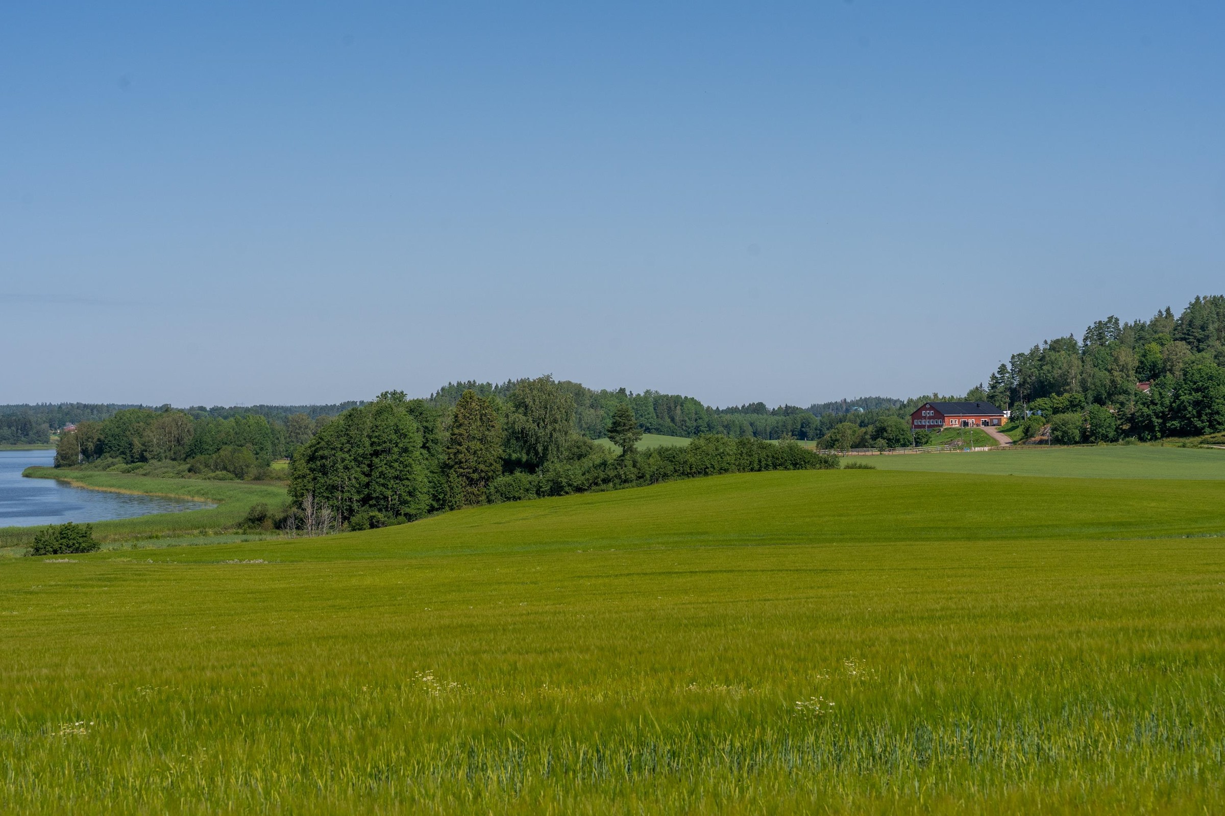 Kohdekuva 83