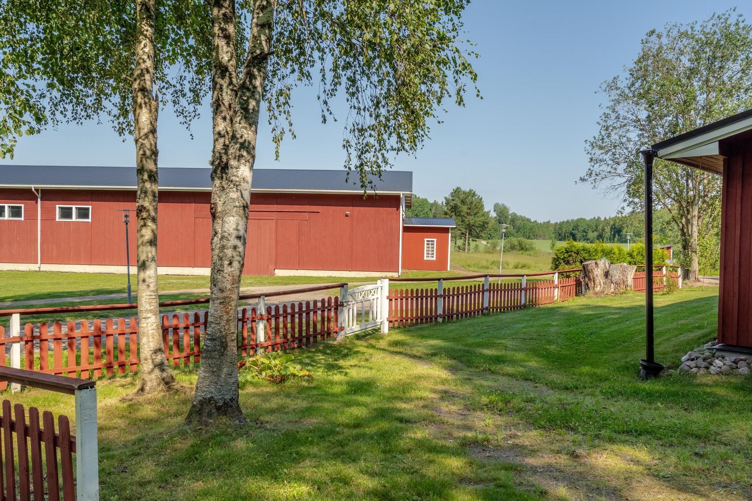 Kohdekuva 81